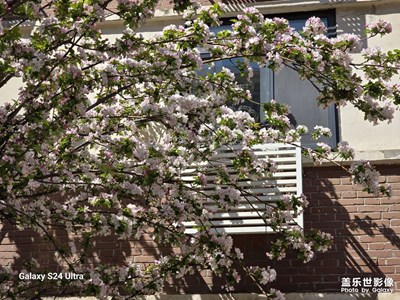 【春之夜】#春之夜