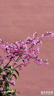 慢想時光_美好生活