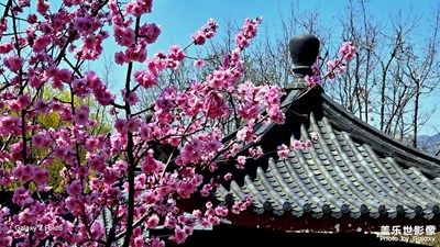 慢想時光～春天的氣息