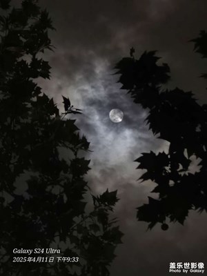 【春之夜】校園夜景隨拍