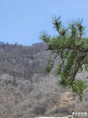 【拍有創(chuàng)意】 美好的四月