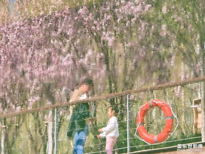 已開獎(jiǎng)【蓋樂世影像周賽第395期】——漫旅拾光