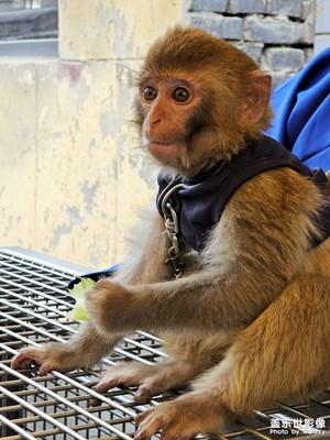 【快樂假日】+穿越千年，赴一場浪漫之約