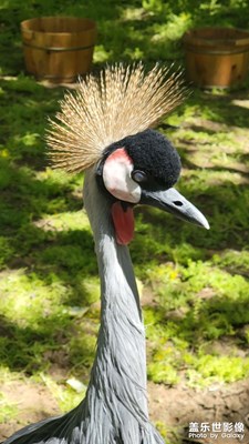 北京野生動物園