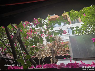 【遇見最美夏日】+城市隨拍