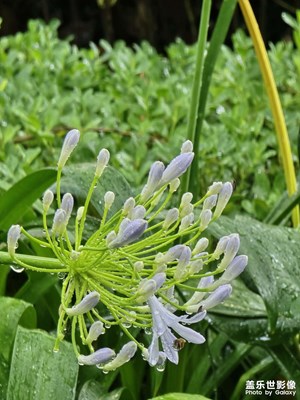 【遇見最美夏日】+城市隨拍