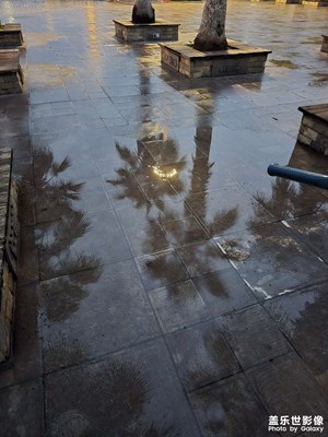 【光影里的五彩斑斕】日常記錄