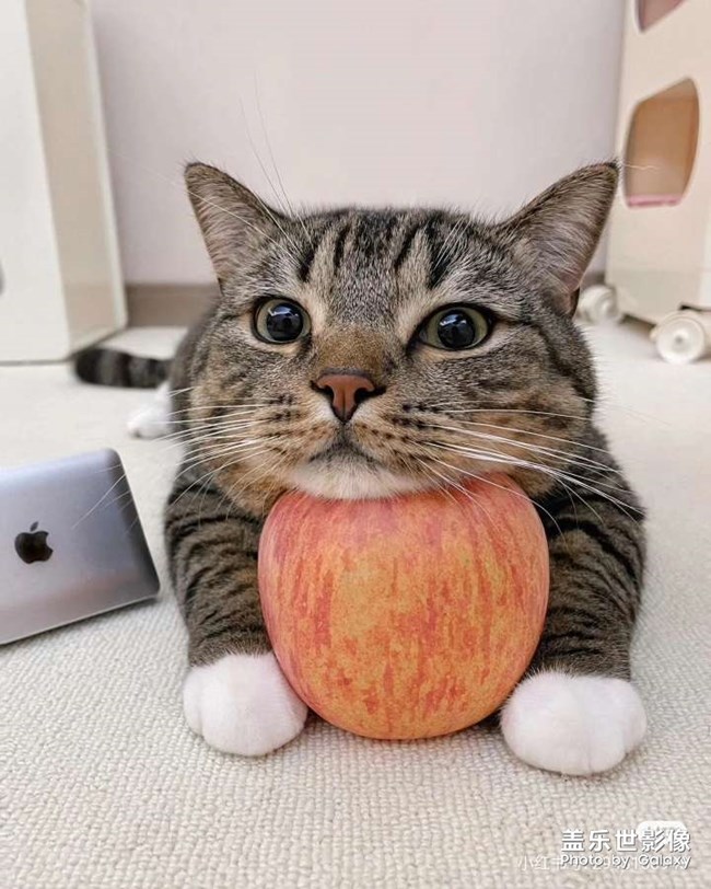 什么時(shí)候下班啊啊啊啊