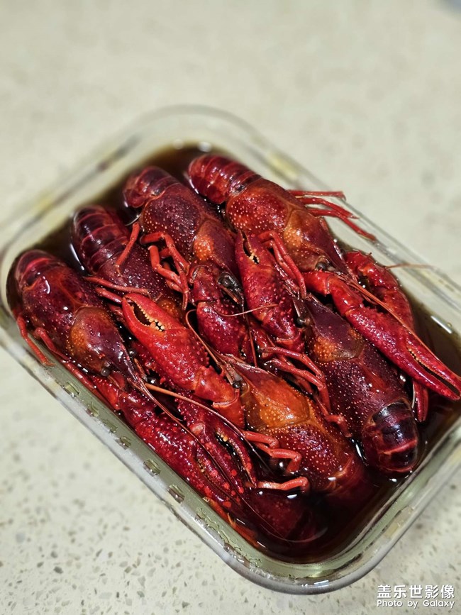 一年又到龍蝦季