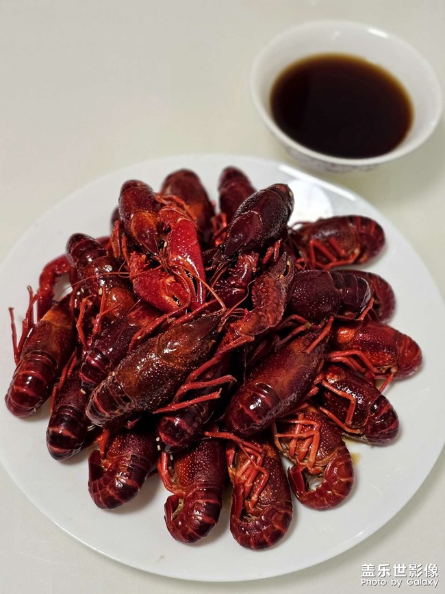 一年又到龍蝦季