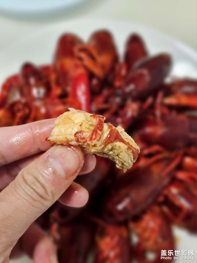 一年又到龍蝦季