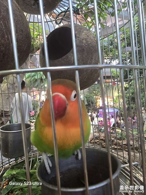 【 尋找靈感】+ 逛街偶遇