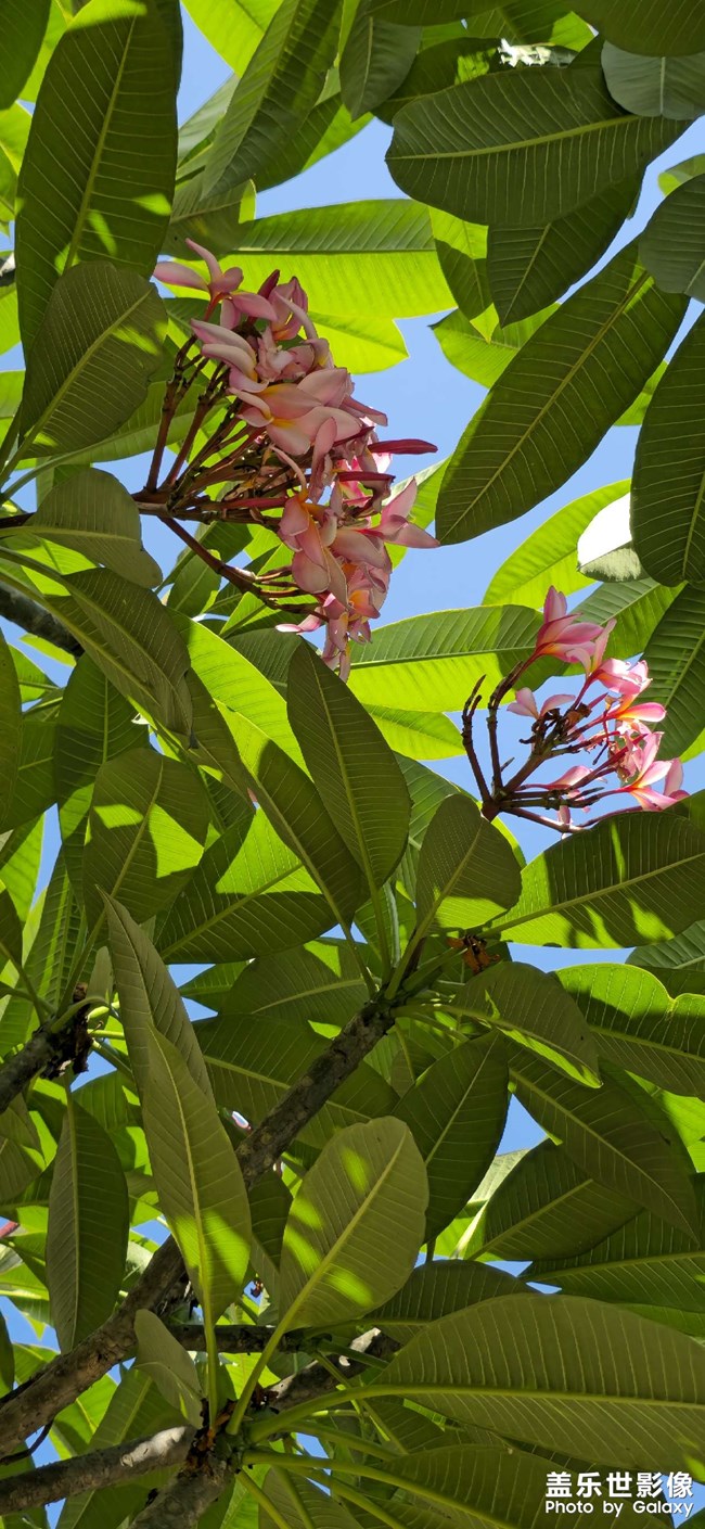 聲音和震動(dòng)不能分開嗎？
