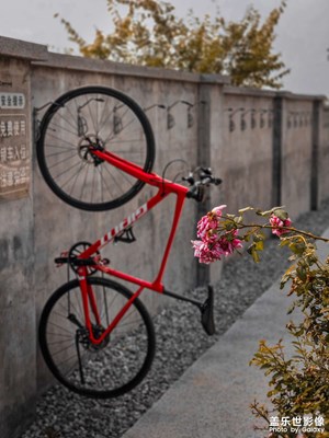 車輪丈量大地