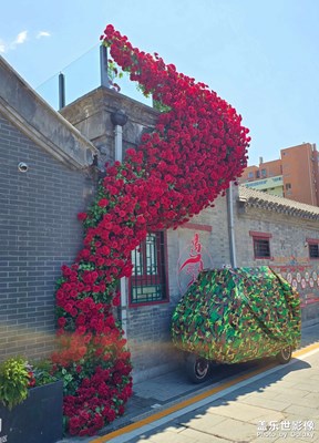 【用鏡頭安利一條街】+爛漫胡同