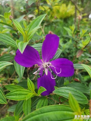 【用鏡頭安利一條街 】綠色健康