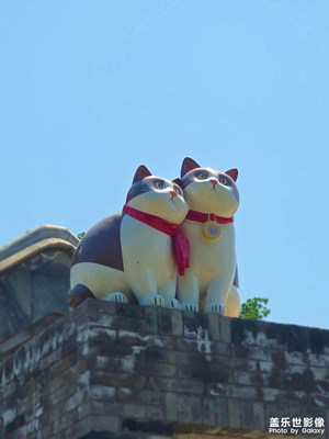 已開獎(jiǎng)【蓋樂世影像周賽第409期】—— 抬起頭的視界