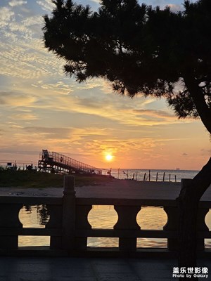 【拍有心動】朝陽
