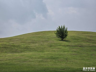 【拍有心動(dòng)】+ 合肥印象