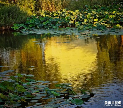 已開獎【蓋樂世影像周賽第411期】——透過鏡頭感受世界