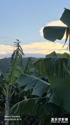 【透過(guò)鏡頭感受世界】農(nóng)村田園風(fēng)光