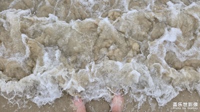 【透過(guò)鏡頭感受世界】每日出門(mén)走走