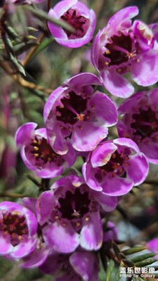 【別樣精彩】城墻