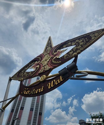 【拍出生命力】活力四射