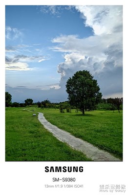 【拍出生命力】+雨后