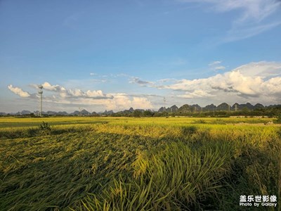【光影里的尋找】鄉(xiāng)村的傍晚時(shí)光