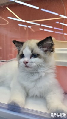 【光影里的尋找】日常