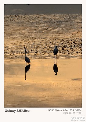 【光影里的尋找】+夕陽下