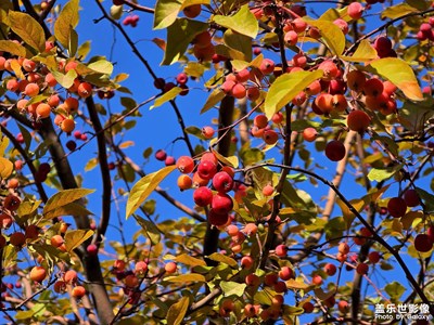 【光影里的尋找】+烏魯木齊小綠谷