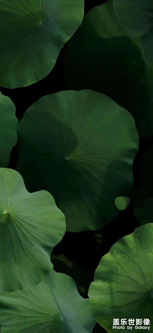 護(hù)眼壁紙一組