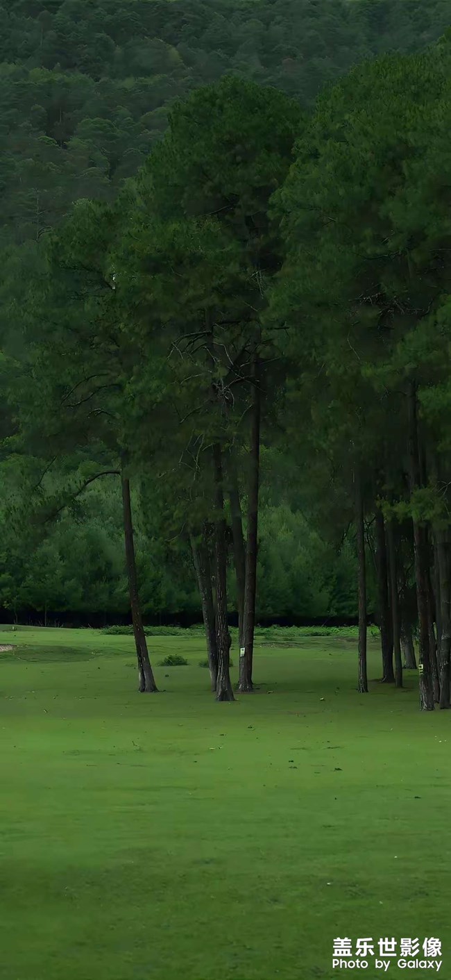 護(hù)眼壁紙一組