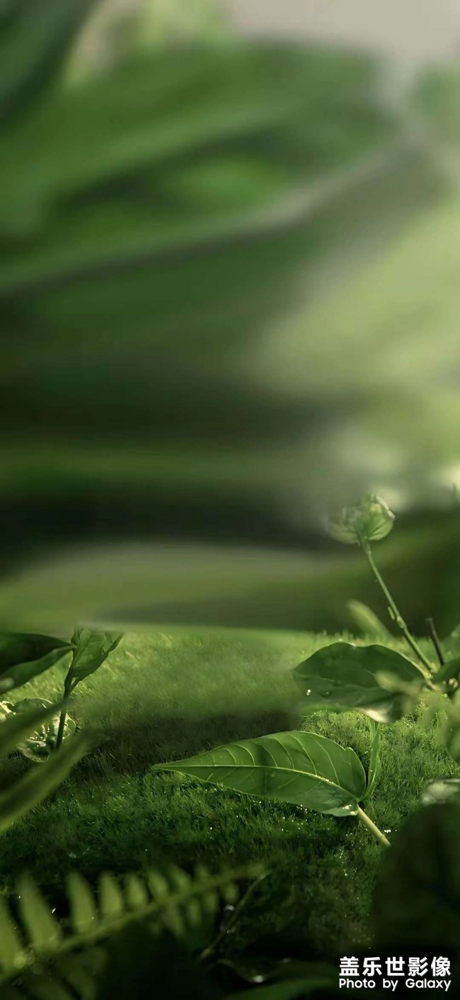 護(hù)眼壁紙一組