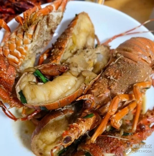 【桂月知味】小青龍