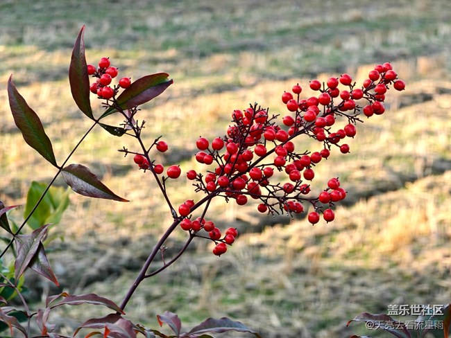 【城市溫度】隨季而變