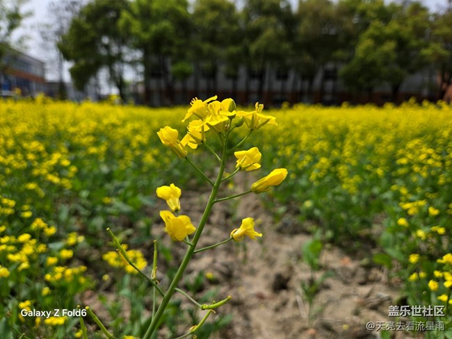 【城市溫度】隨季而變