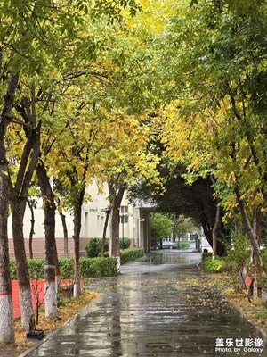 【步履間的風(fēng)景】+雨中漫步