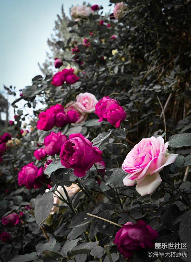 【被遺忘的角落】角落里的溫柔與煙火