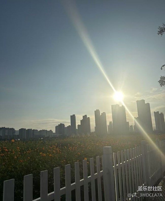 【Galaxy影像】#秋韻 花海