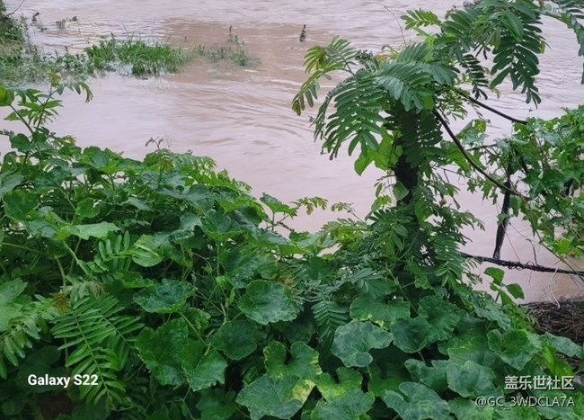 【深灣映秋】臺(tái)風(fēng)過后