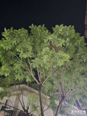 【步履間的風(fēng)景】+場景小拍