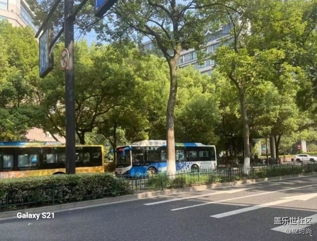 【深灣映秋】快樂隨行