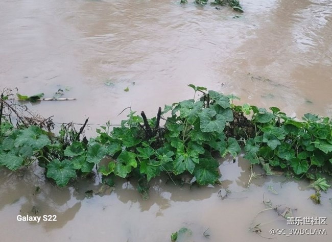 【深灣映秋】臺(tái)風(fēng)過后