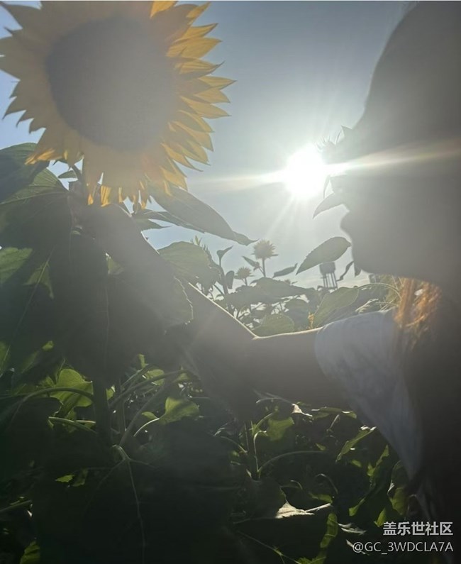 【Galaxy影像】#秋韻 花海