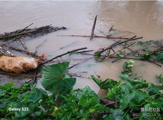 【深灣映秋】臺(tái)風(fēng)過后