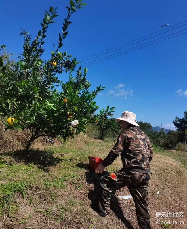 【Galaxy影像】#秋韻  秋色無邊