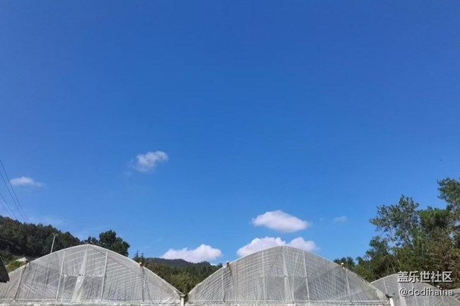 【Galaxy影像】#秋韻  秋色無邊